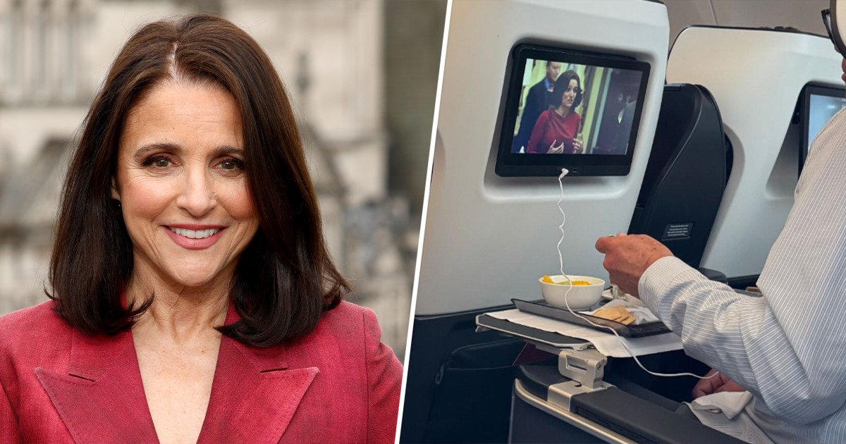 Julia Louis-Dreyfus Reacts to Someone Watching 'Veep' in Front of Her on a Flight