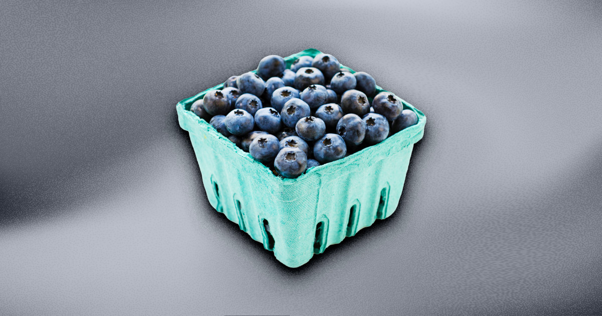 Blueberries Recalled Over Listeria Possibility Might Reason Critical Sickness or Loss of life, FDA Warns