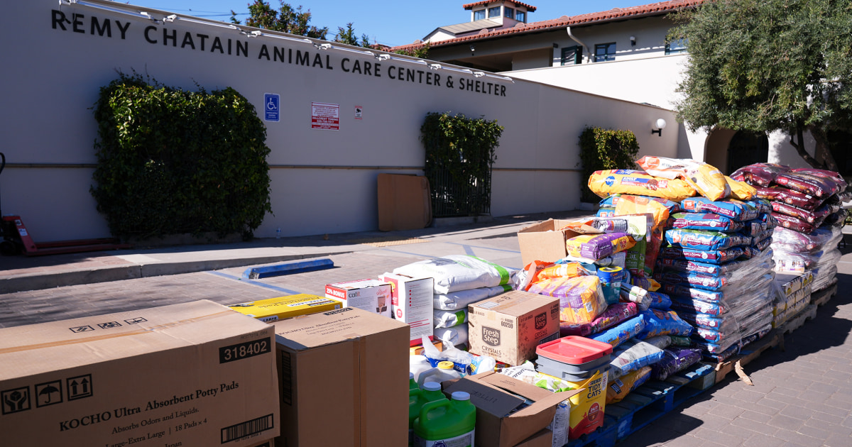 Pasadena Humane Still Caring for Pets Six Months After California Wildfires