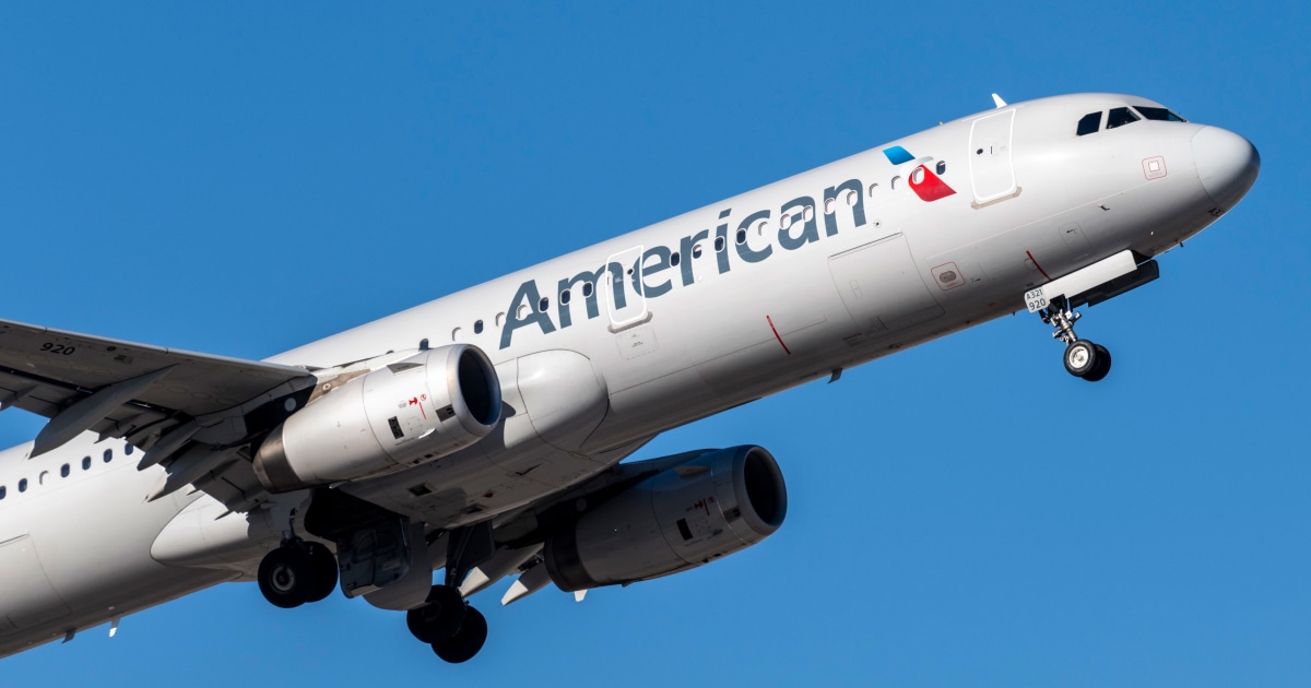 Flight Attendant Weighs in on Video of Man Vaping in Plane Bathroom