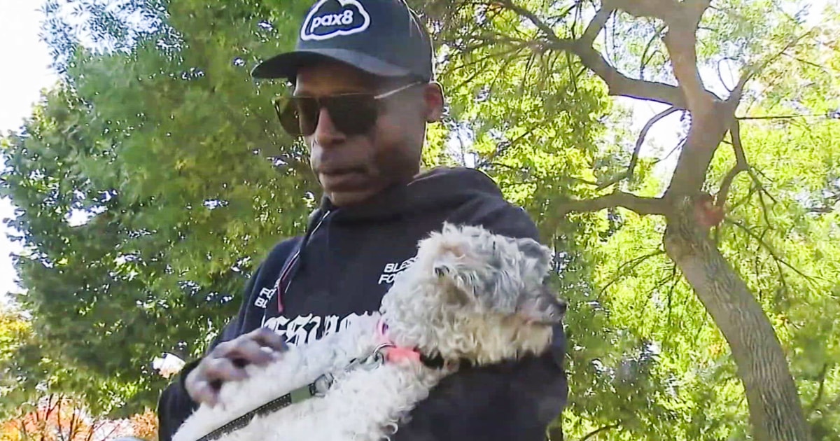 Chicago Man Reunited With Dog 10 Years After He Went Missing