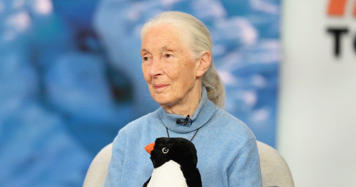 One Year Before Her Death, Jane Goodall Suggested People Do This 1 Thing