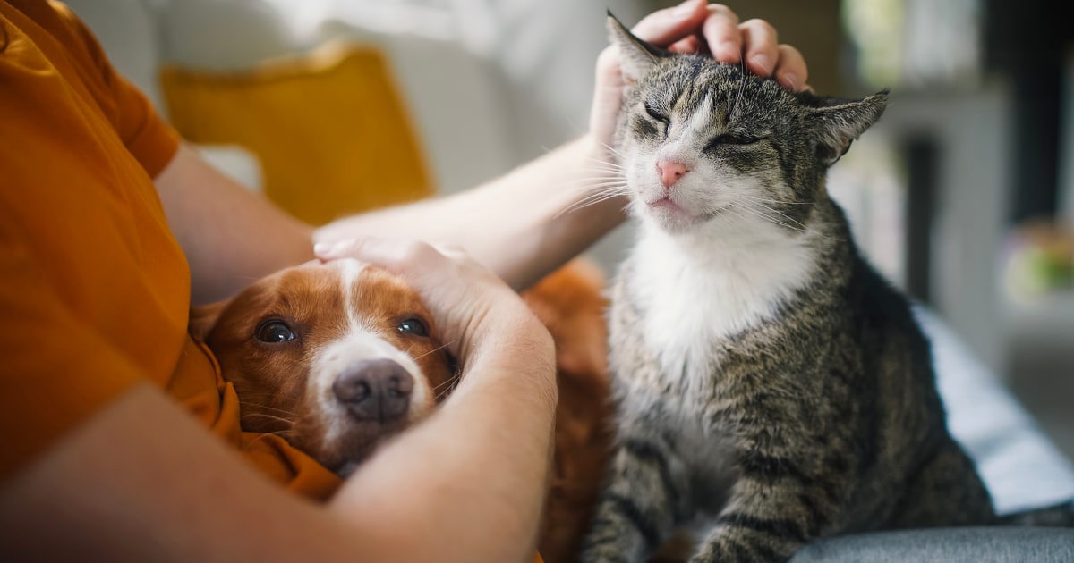 Raw Bistro, Foodynamics Over Salmonella Risk