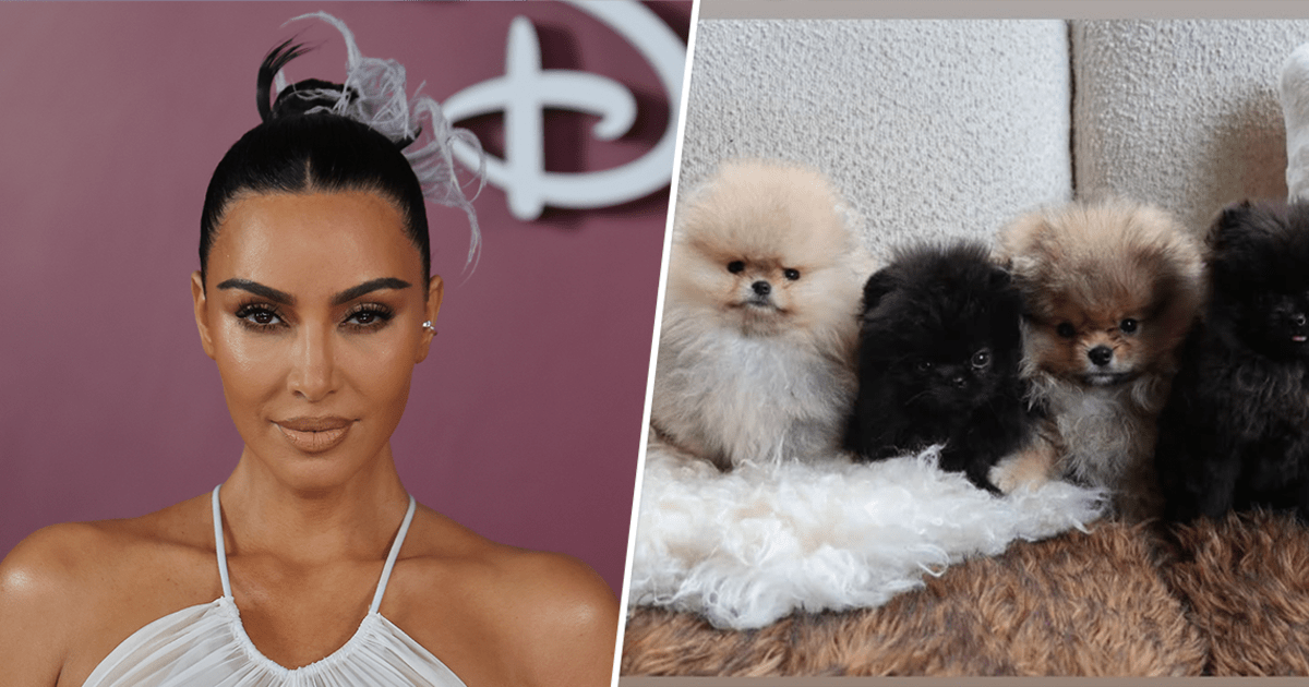 See Kim Kardashian's Furry New Additions to the Family - One for Each Kid!
