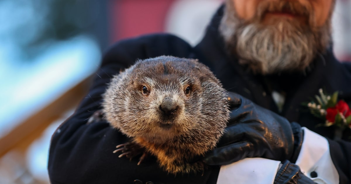 It’s Groundhog Day! Get Punxsutawney Phil’s 2026 Prediction