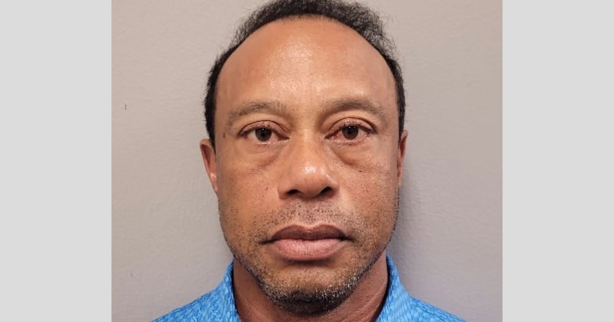 Woods pleaded not guilty to charges related to the March 27 crash, where his Land Rover clipped a trailer while a truck was turning into a driveway in Jupiter Island.