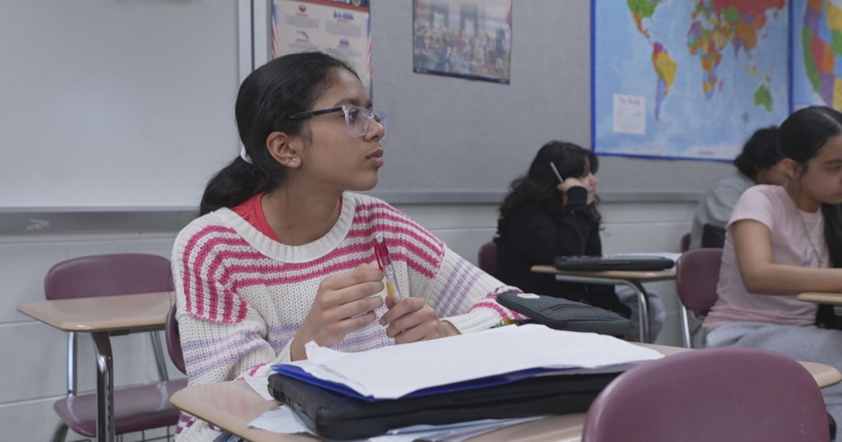 Middle Schooler Develops a 6-Step Plan to Combat Cyberbullying