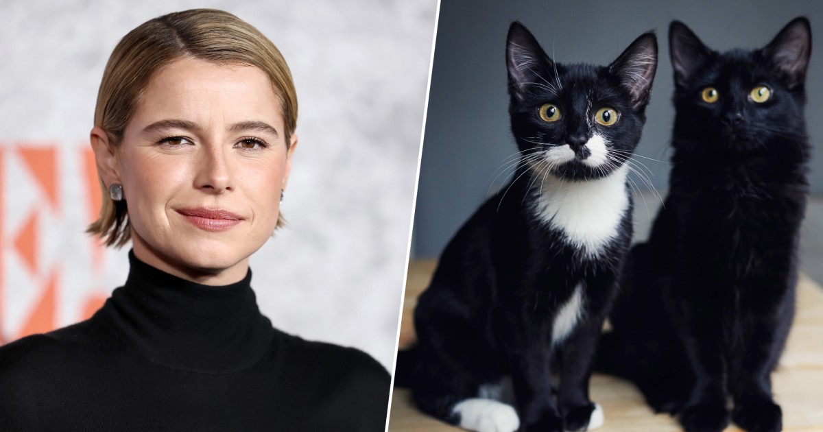 Jessie Buckley Gave Her Husband an Ultimatum About His Cats and the Internet Is Purring About It
