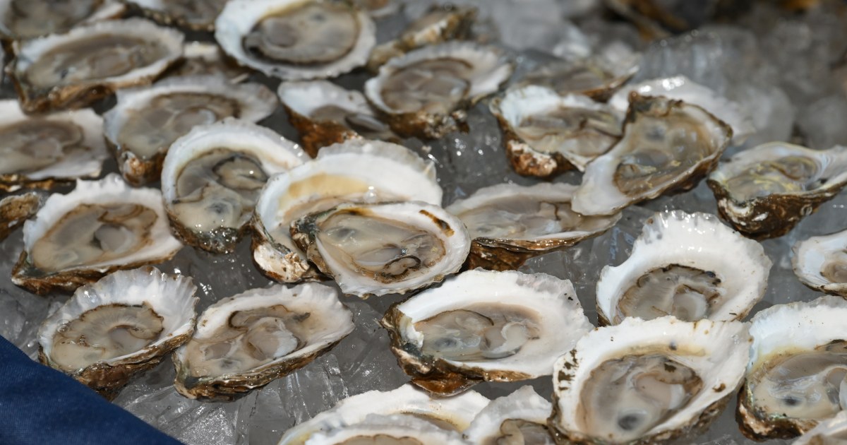 Oysters, Clams Distributed in 9 States Recalled for Potential Norovirus Contamination
