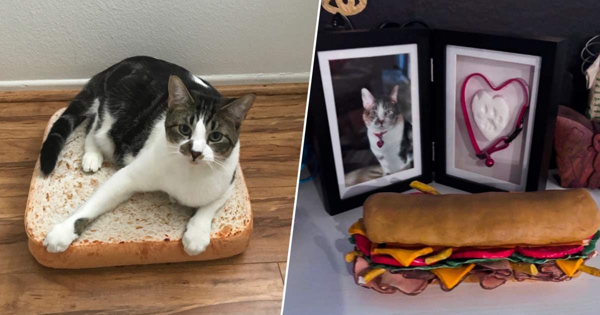 Sandwiches’ final resting place is exactly where he’d want to be: between two slices of bread.