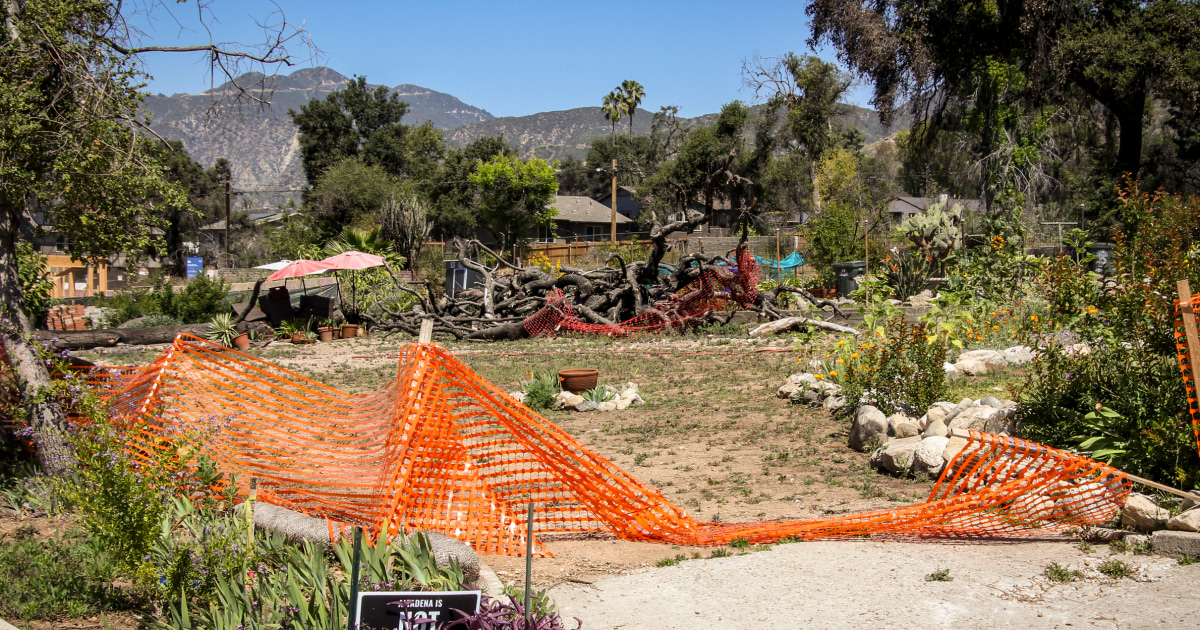 An EPA study found most properties have lead levels below what federal regulations say is dangerous. Some scientists worry that’s not the whole picture.