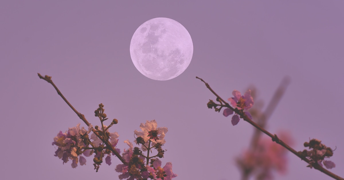Full Moon May 2026: the story explained — image 1
