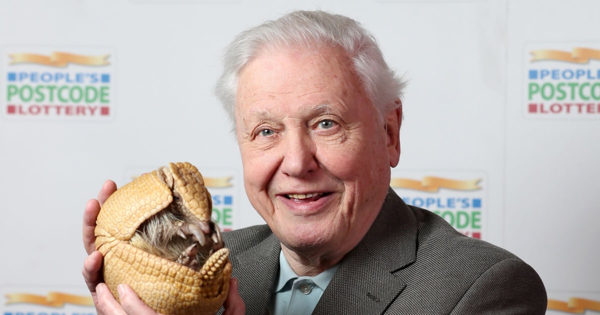 David Attenborough Turns 100: His ‘Extraordinary’ 10-Minute Practice to Find Joy