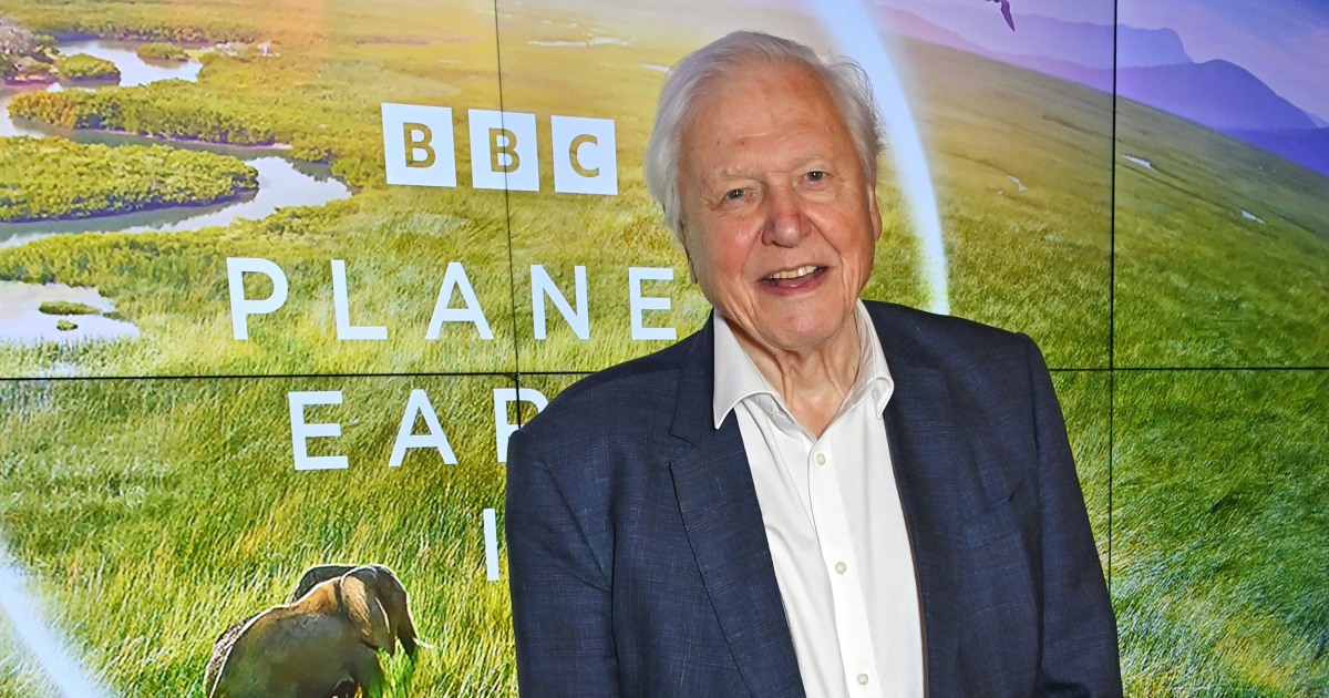David Attenborough Turns 100! Watch Him on TODAY — in 1981