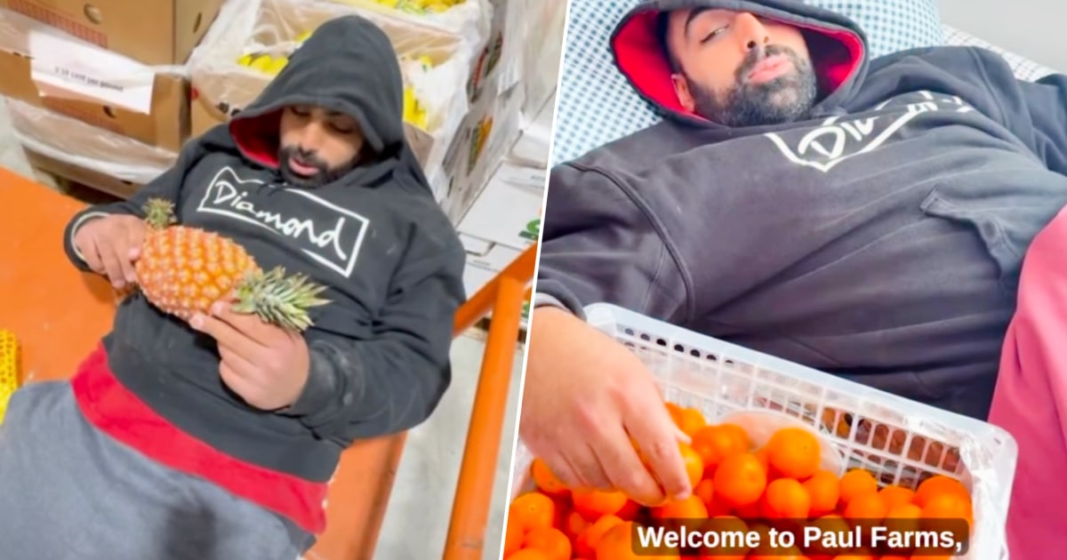 Their dad made them start the farm’s social media accounts. This is what happened.