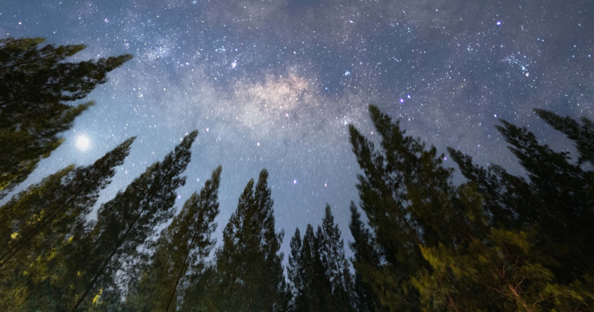 The 4 Luckiest Signs in July 2026, According to An Astrologer