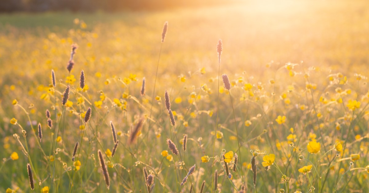 What June 2026 Has in Store for Your Zodiac Sign: Horoscopes
