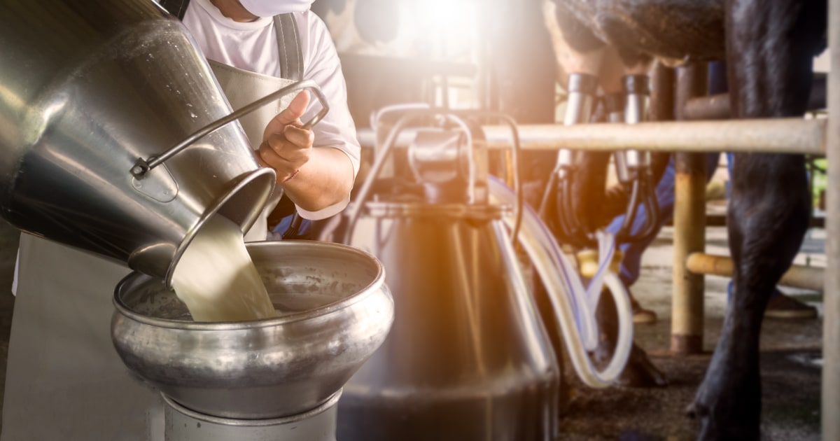 Two Outbreaks in Idaho Now Linked to Raw Milk, Health Officials Say