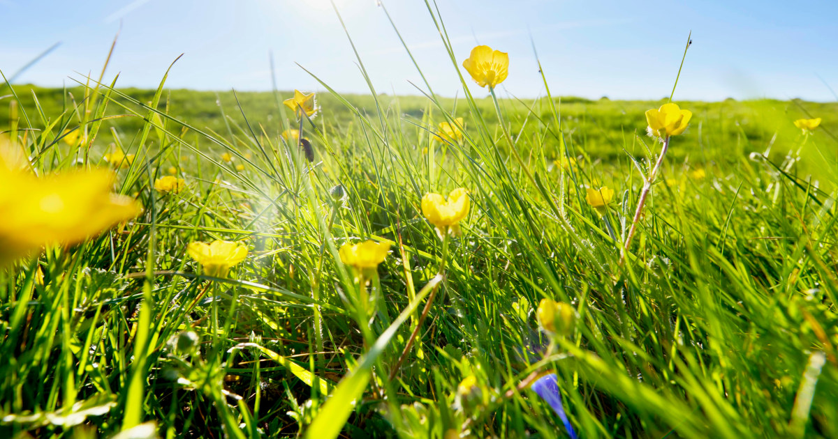 The Summer Solstice Is Bringing Luck to These 4 Zodiac Signs