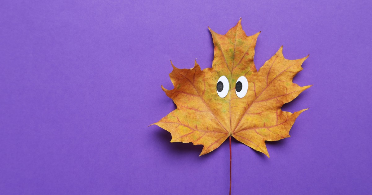 50 Fall Jokes That Are Seriously Gourd