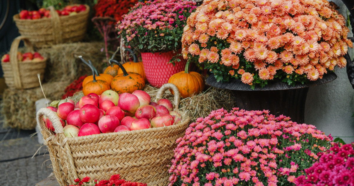 67 Fall Quotes to Celebrate the Arrival of Sweater Weather