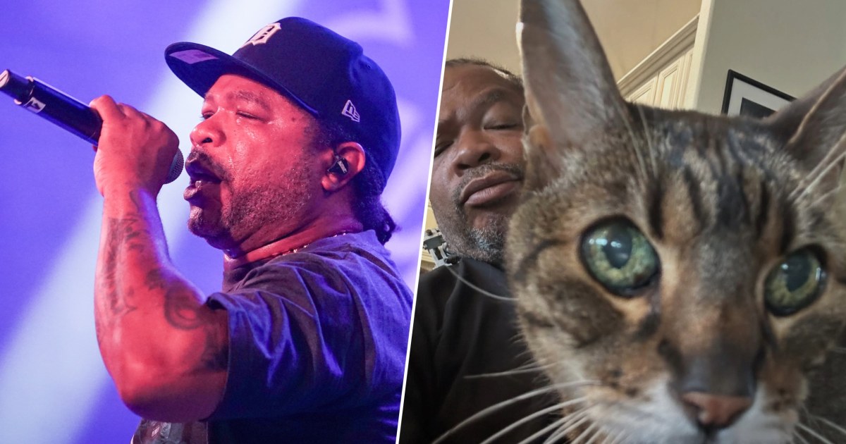 Xzibit Shares He Still Has The Same Beloved Cat From His ‘Pimp My Ride' Days