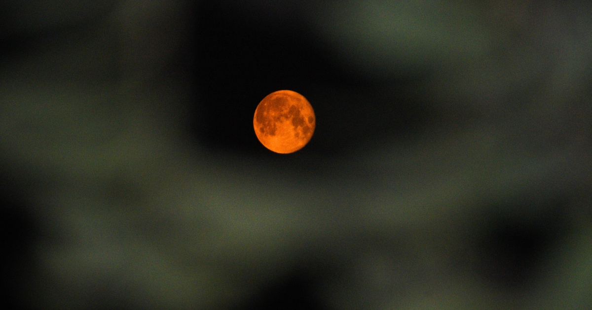 The 4 Zodiac Signs Most Impacted by the Lunar Eclipse in Pisces on August 27 and 28