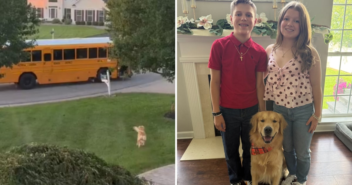 Family Dog Escapes and Boards School Bus. Harried Mom Runs After Him in Pajamas