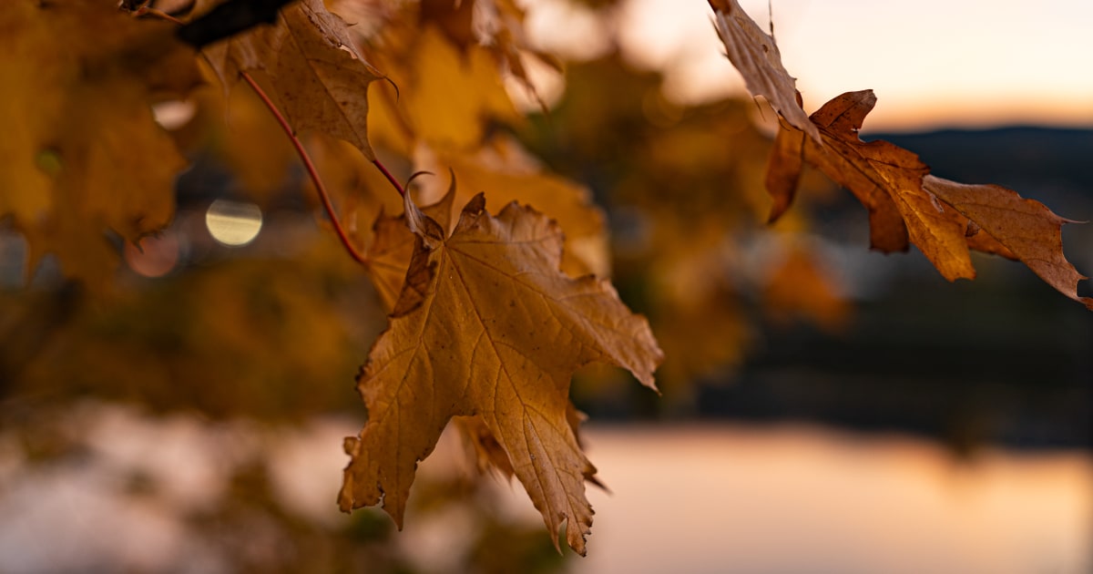 today.com - Scorpio Season Starts October 23. These Are the 4 Luckiest Signs