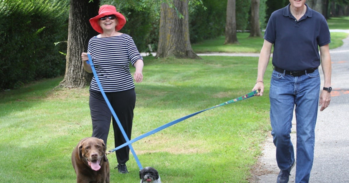 Power walk: Bill and Hillary Clinton take their dogs for a stroll