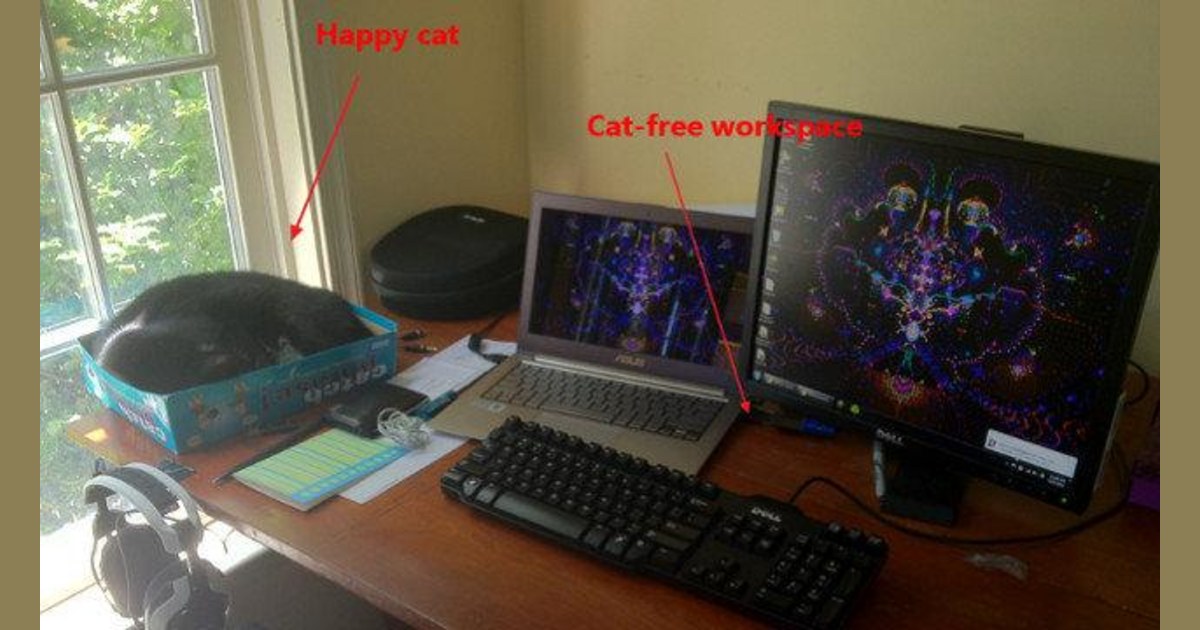 How do you keep a cat deals off the table
