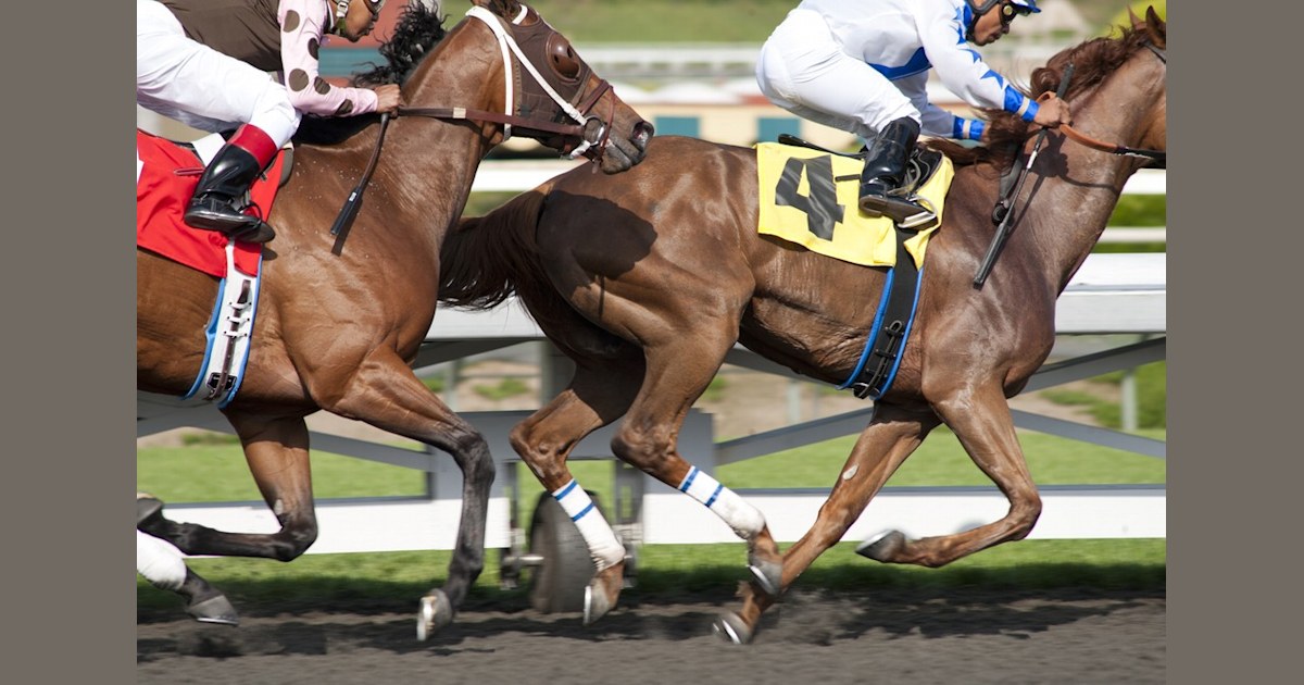 HBO suspends filming of horses after third death on set of 'Luck'