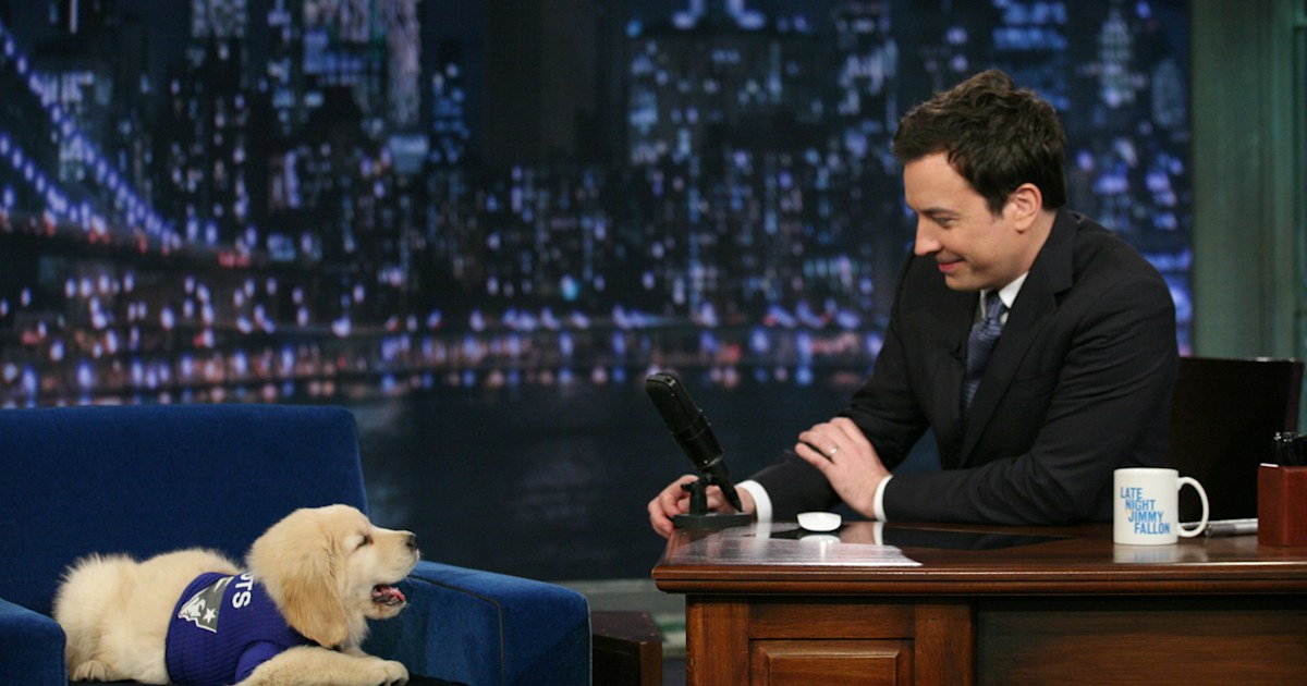 Jimmy Fallon's puppy predictor picks Super Bowl winner!