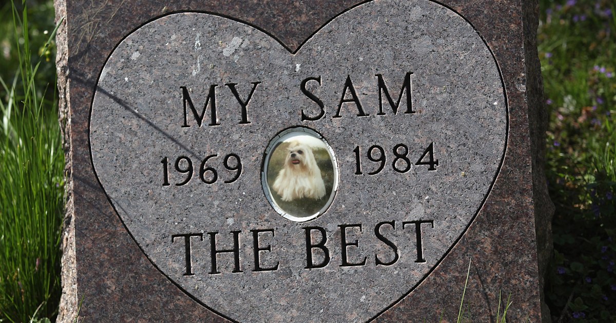 Hartsdale pet best sale cemetery and crematory