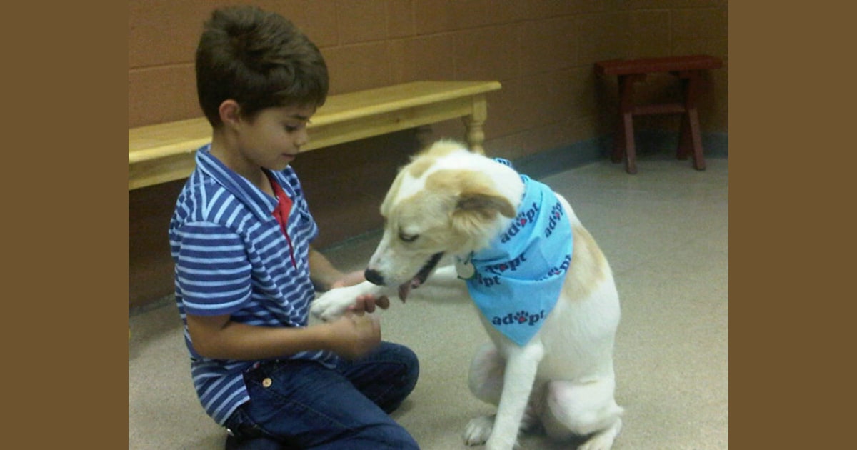 Natalie's family their newest addition Zara the dog!