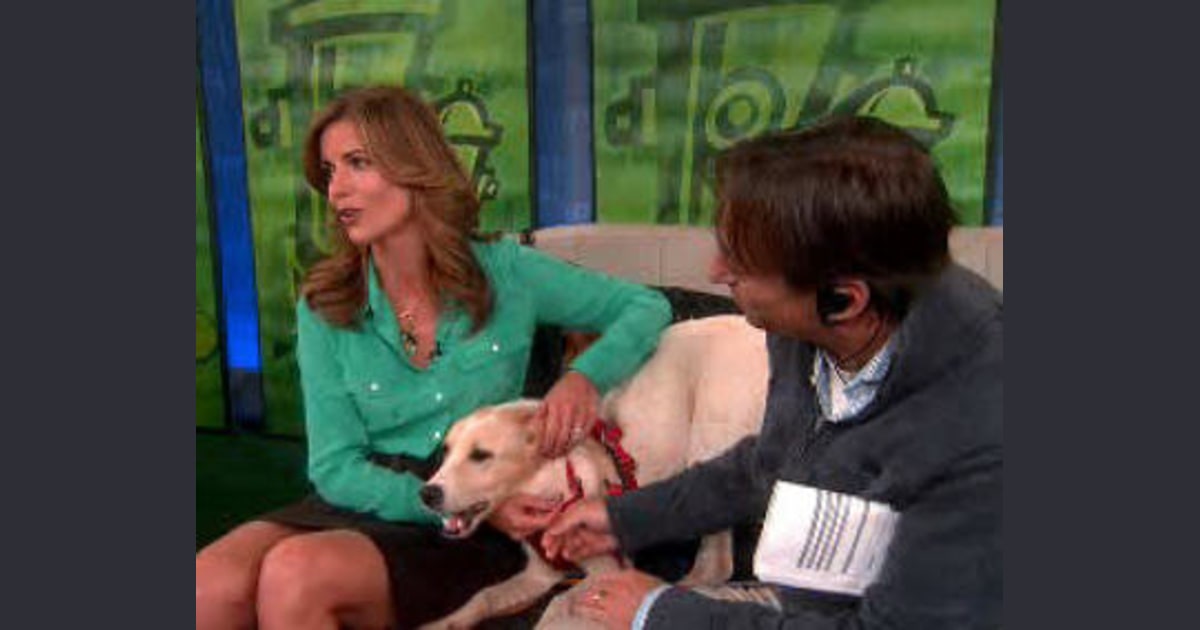 Vote! Who should take home Zara, the dog?