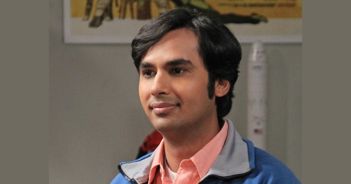 raj from big bang theory net worth