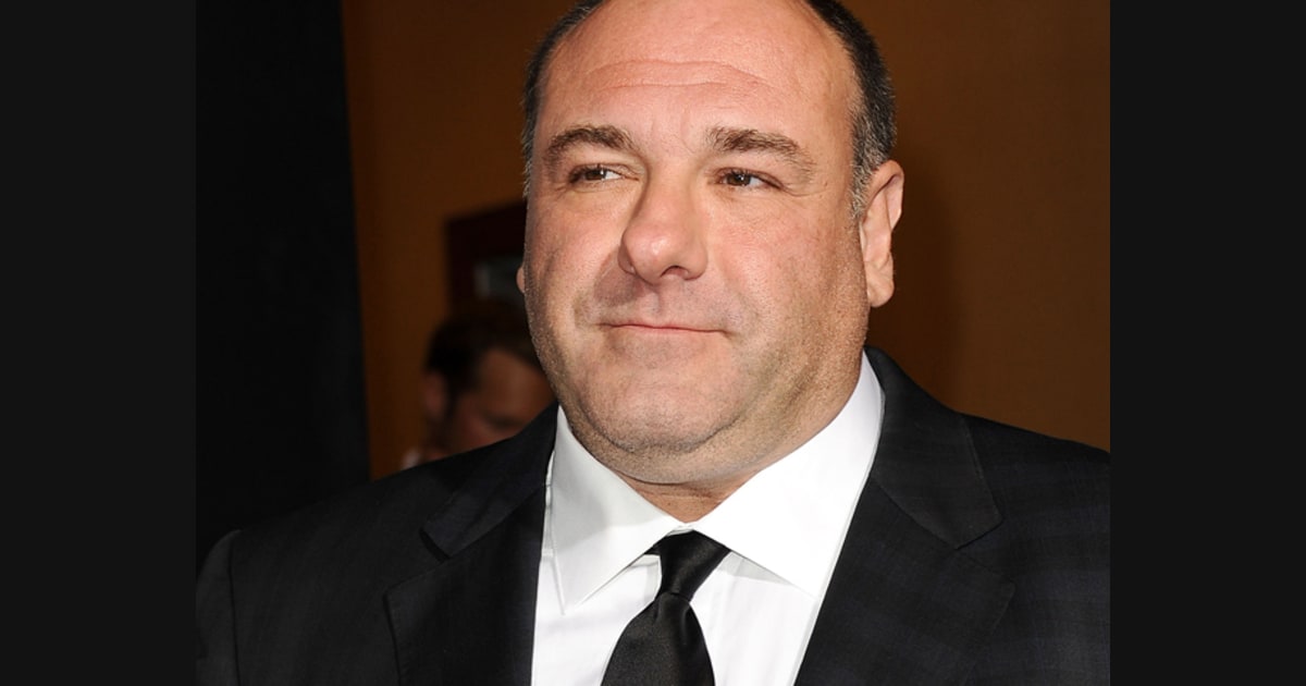 James Gandolfini's final films will be released in 2014