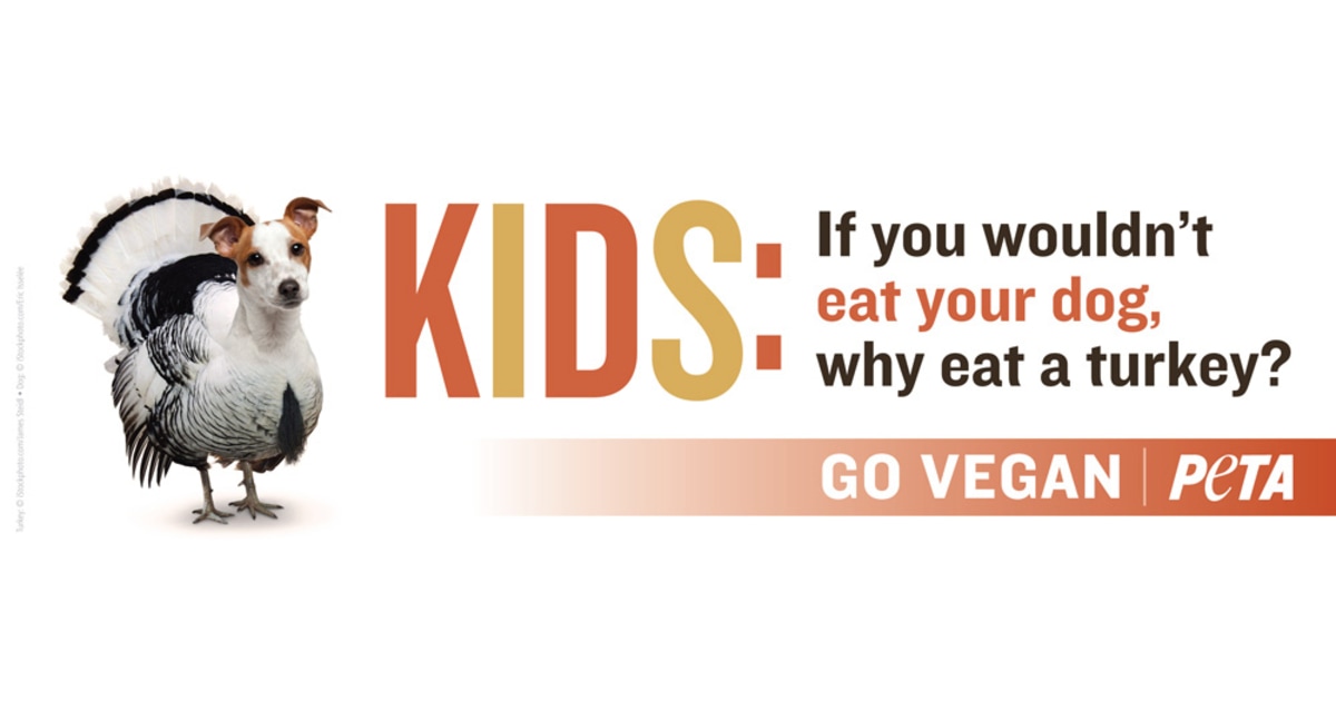 Peta vegan top cats