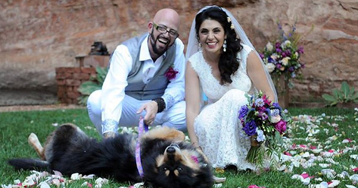 Jackson galaxy own cats clearance