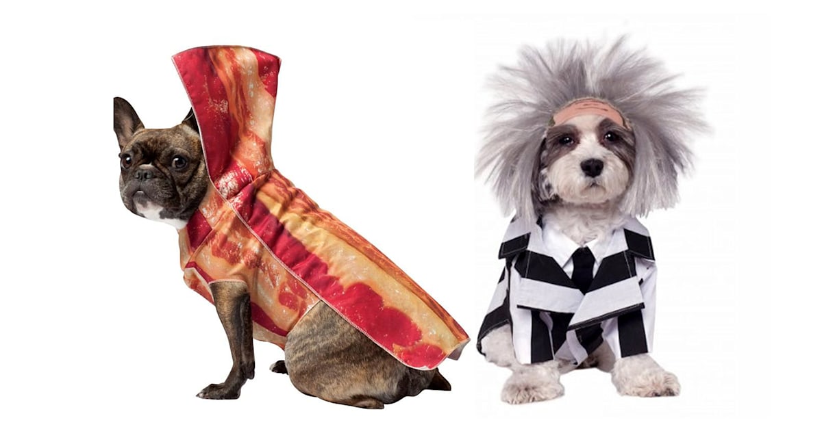 27 of the best Halloween pet costumes