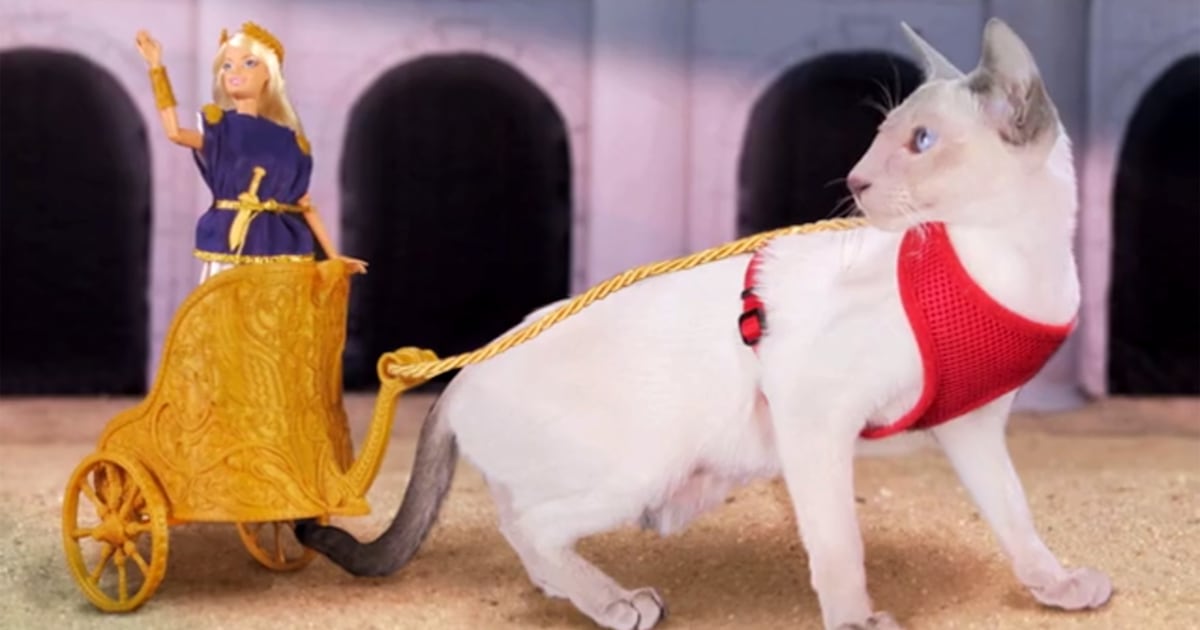 Gladiator Barbie Kickstarter turns doll into Roman warrior