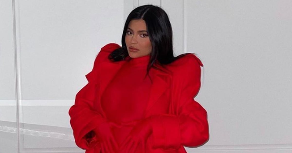 Kylie Jenner Introduces New Kitten While Showing Off Her Baby Bump