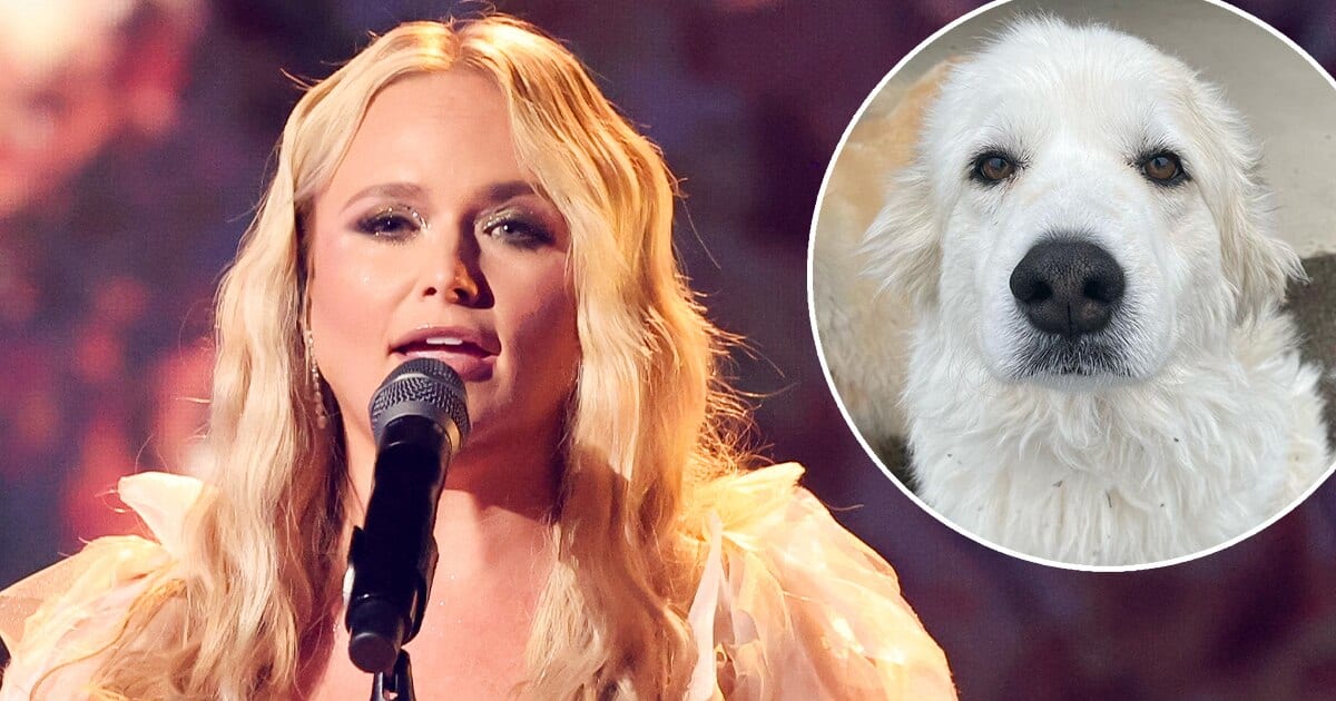 Miranda Lambert Mourns Death of Her Dog Thelma in Moving Tribute